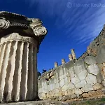 Artemis 3* Delphi