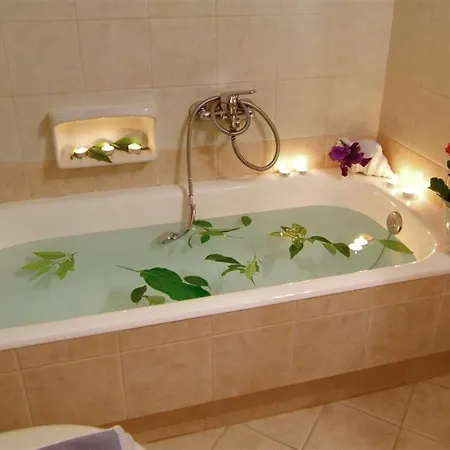 Отель Artemis Дельфы